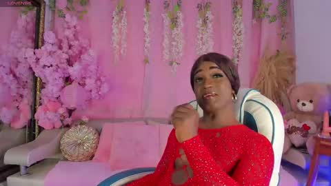 Sammy online show from November 11, 3:36 pm