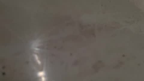 Alaina Heart online show from April 3, 10:24 am