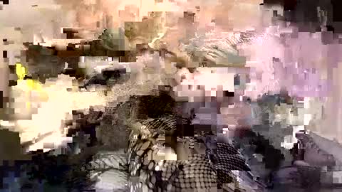 Miya online show from October 1, 8:59 am