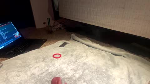 BiCDboiiii online show from February 22, 4:07 am