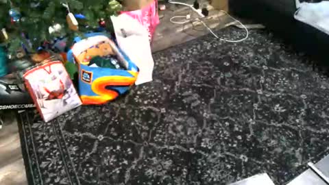 blairxskylar online show from January 5, 5:27 pm