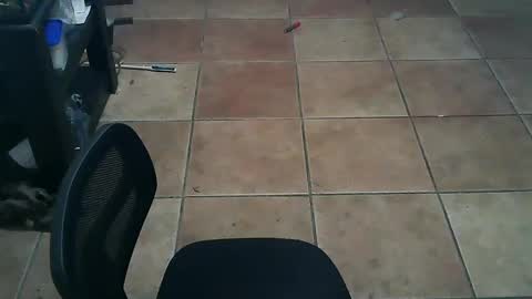 crossdressernola504 online show from October 14, 7:36 pm