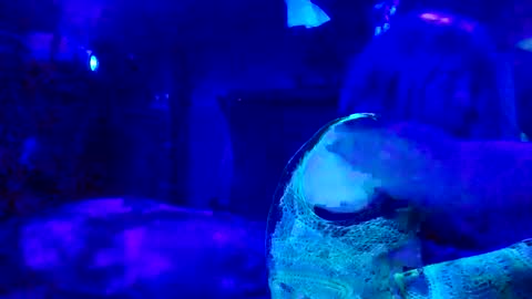 Demondelight666 online show from December 22, 1:16 pm