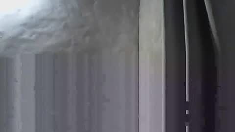 fannyconmigo online show from February 26, 4:58 am