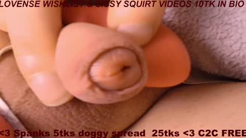 Meadow online show from March 1, 9:48 am