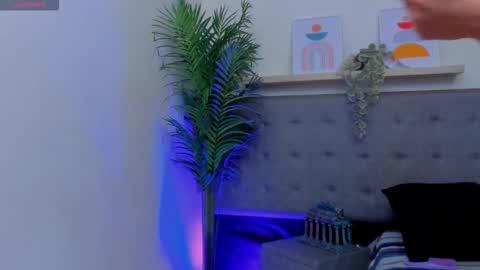 Harper  online show from November 19, 6:30 pm