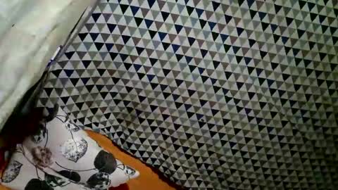 loadedcum macy online show from March 12, 3:50 pm