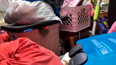 gurlnips online show from February 26, 7:09 am