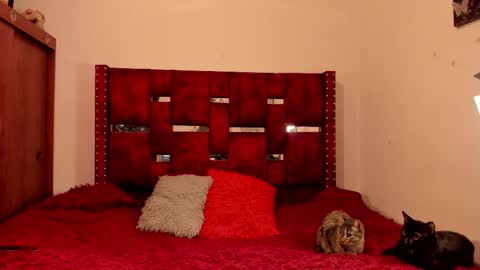  MELANIE  online show from March 2, 3:56 am