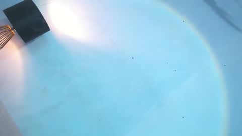 yannah online show from November 19, 12:05 pm