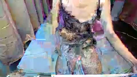 RIDDIN online show from November 10, 11:22 am