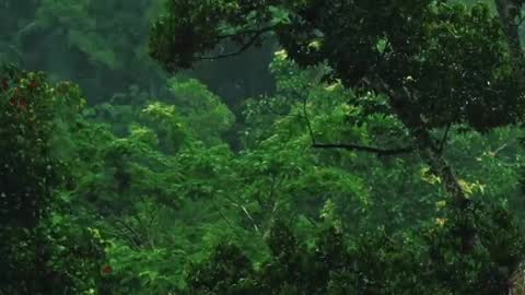 Me online show from February 7, 4:14 pm