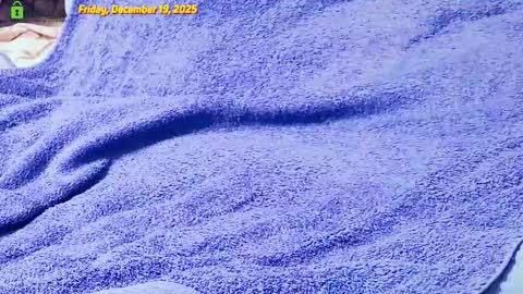 Owl online show from December 19, 7:19 pm