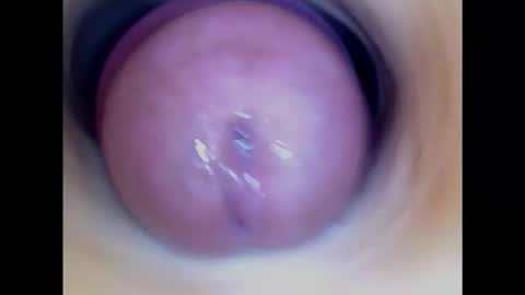 Snapshot of paulainoscente chatting on October 20, 11:19 pm Paula 18 Aninhos online show from October 20, 11:19 pm