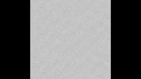 Leslie online show from February 7, 9:48 am