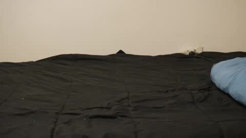 SissyFemboy20 online show from February 26, 8:08 am