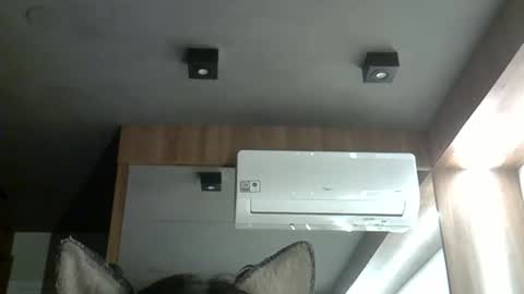 skinnykittencam online show from October 30, 3:27 am