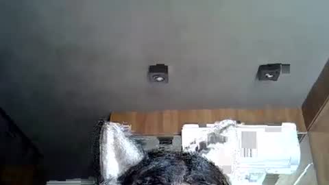 skinnykittencam online show from November 12, 5:45 pm