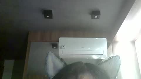 skinnykittencam online show from January 10, 5:02 am