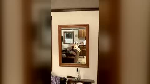 tiffanycase384727 online show from August 3, 3:39 am