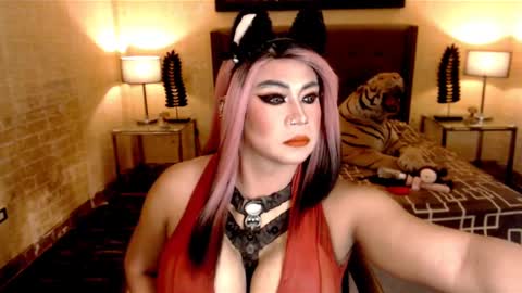 wildtransjhade online show from January 20, 7:04 pm