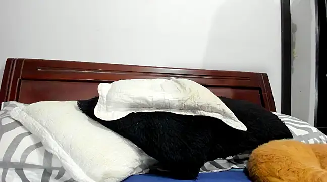 Snapshot of aleziiacam chatting on February 14, 3:11 am aleziiacam online show from February 14, 3:11 am