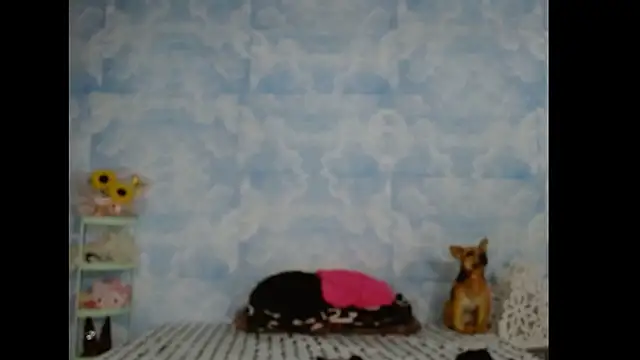 Valerii Gil online show from March 3, 7:37 am