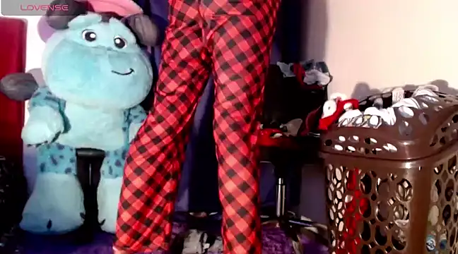 nicol gill  online show from February 4, 11:27 am