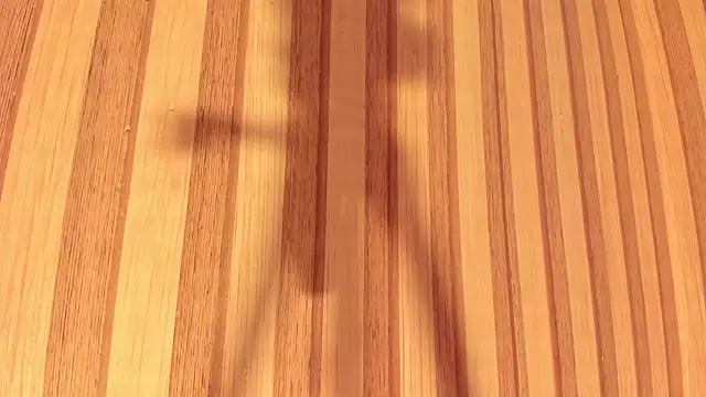 Daisy  rose online show from February 22, 11:02 am