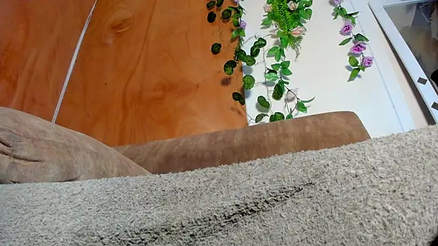 adhara hotter online show from February 14, 8:59 pm