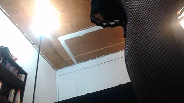 Snapshot of SadCatDaddy chatting on February 15, 5:09 am SadCatDaddy online show from February 15, 5:09 am