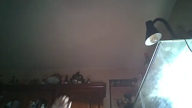 zipman92 online show from January 5, 8:34 pm