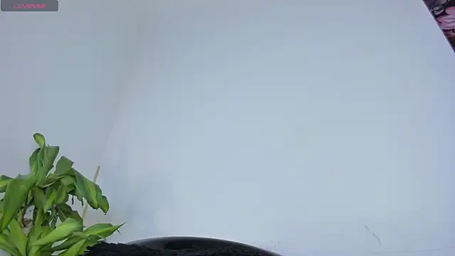 Lucy shen  online show from November 20, 3:51 am