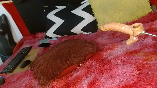 camilastar89 online show from October 2, 10:20 pm