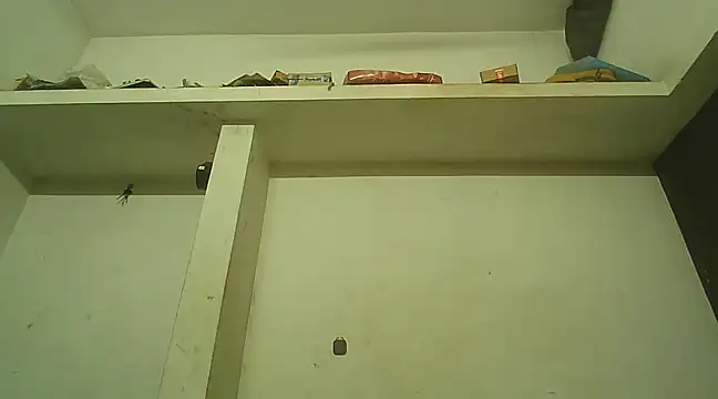 Snapshot of Akhilamolu_the_transsissy chatting on February 8, 5:39 pm Akhilamolu the transsissy online show from February 8, 5:39 pm