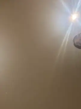 divavirtual11 online show from October 23, 7:01 am