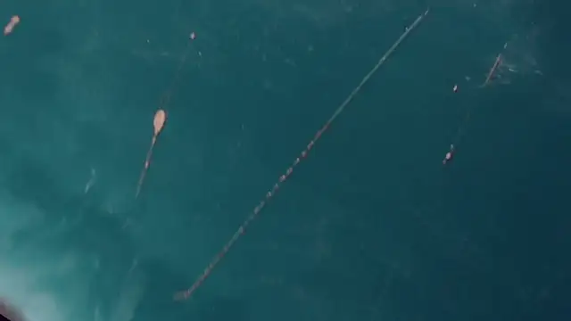 Snapshot of CharlotteBigCock chatting on January 12, 3:24 pm CharlotteBigCock online show from January 12, 3:24 pm