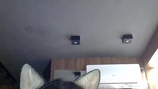 Skinny-Kitten online show from December 4, 3:21 am