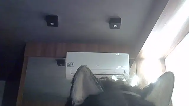 Skinny-Kitten online show from June 1, 8:54 pm