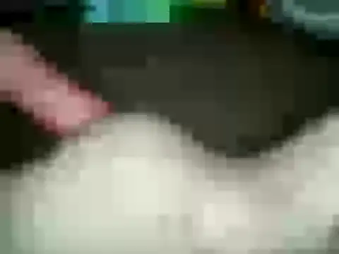 xxxlecram online show from January 15, 2:35 pm